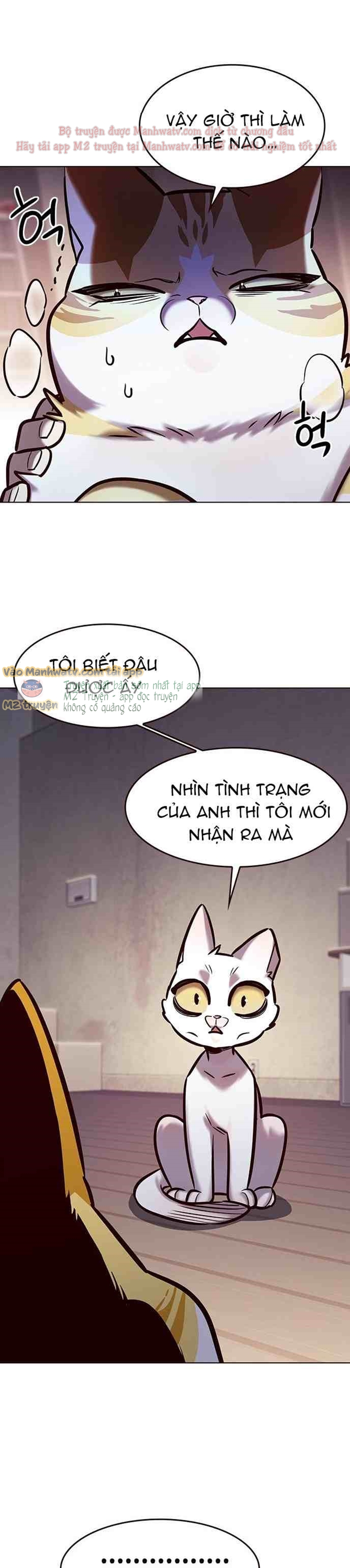 Đọc truyện Hóa thân thành mèo (Bản Free) - Chap 275
